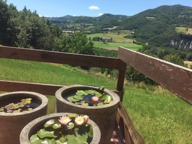 Casa Petra - Casa Tre Stelle - Casa Caneva - Ferien Fuer 6-14 Personen Ponti 외부 사진