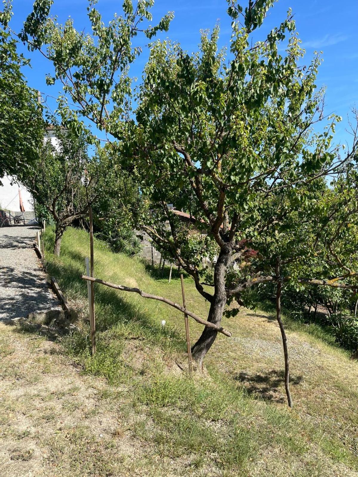 Casa Petra - Casa Tre Stelle - Casa Caneva - Ferien Fuer 6-14 Personen Ponti 외부 사진
